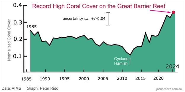 coral.jpg